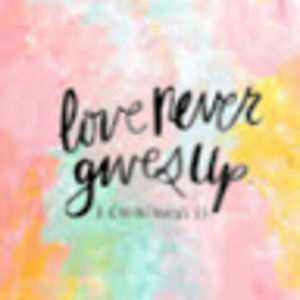 Meet your Posher, Analysia